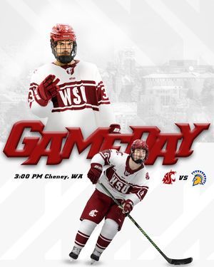 Image post by @wsu_hockey_ on Instagram