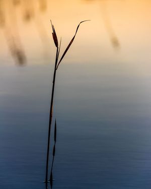 Image post by @cristan.nature.photography on Instagram