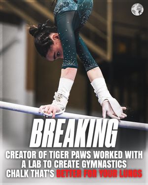 Image post by @planetofgymnastics on Instagram