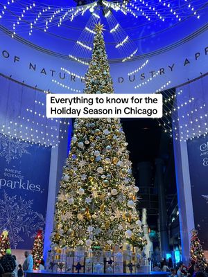 Video post by @chicago.by.ren on TikTok
