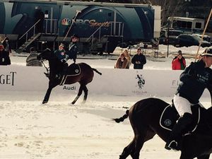 Image post by @uspoloassn on Twitter