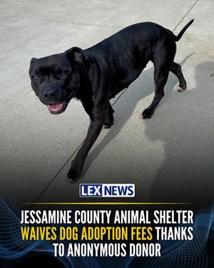 Image post by @lex18news on Instagram