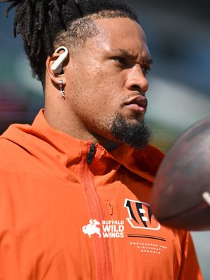 Image post by @bengals on Instagram