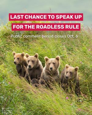 Image post by @centerforbiodiv on Instagram