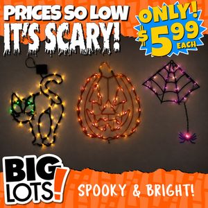 Image post by @biglots on Instagram