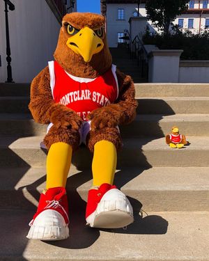 Image post by @rockyredhawk on Instagram