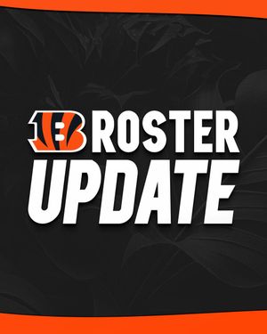 Image post by @Bengals on Twitter