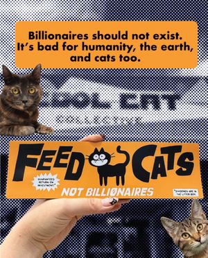 Image post by @coolcatcollectivelbc on Instagram