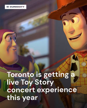 Image post by @curiocitytoronto on Instagram