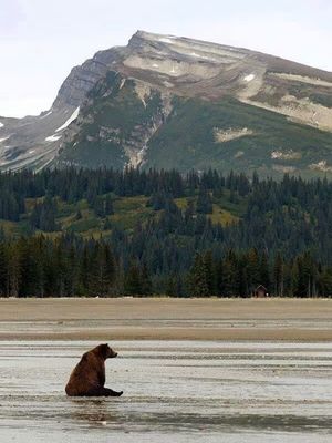 Image post by @nationalparkservice on Instagram
