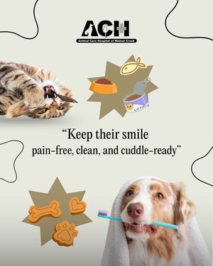 Image post by @achwalnutcreek on Instagram