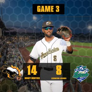 Image post by @gohoneyhunters on Twitter