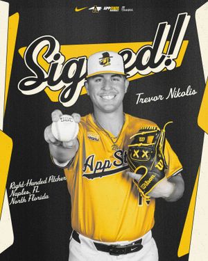 Image post by @appbaseball on Instagram