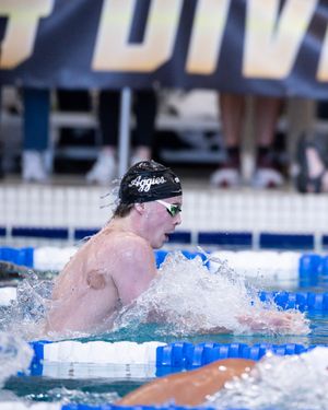 Image post by @aggieswimdive on Instagram