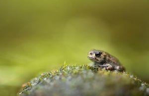 Image post by @rspb on Instagram