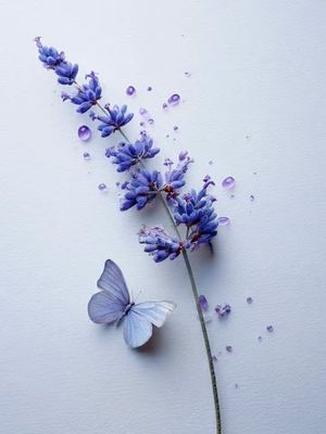 Image post by @imaginia_creations on Instagram