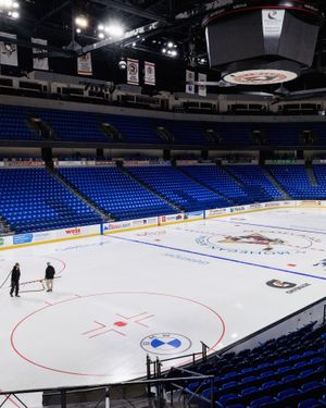 Image post by @wbspenguins on Instagram