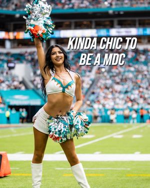 Video post by @dolphinscheer on TikTok