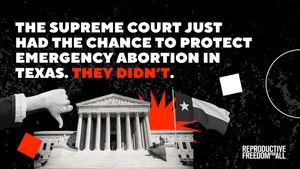 Image post by @reproforall on Twitter