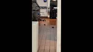 Video post by @kmphfox26 on YouTube