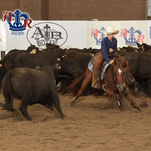 Image post by @american_royal on Instagram