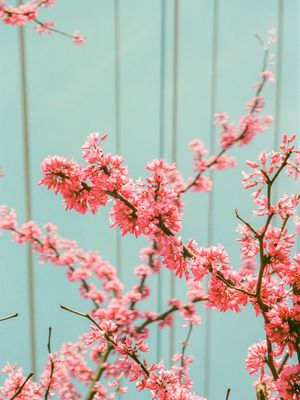 Image post by @eecreative7 on Instagram