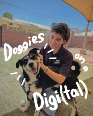 Image post by @gcuhonors on Instagram