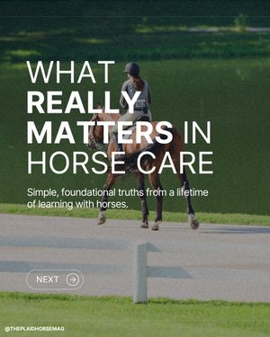 Image post by @theplaidhorsemag on Instagram