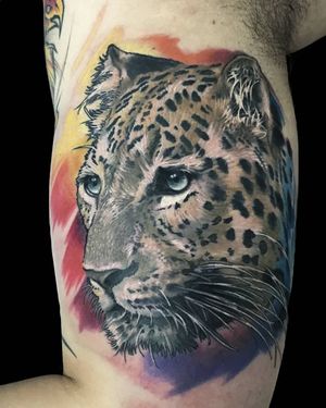Image post by @sanguinoart on Instagram