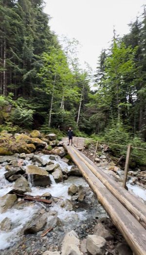 Video post by @andrewkhauv on TikTok