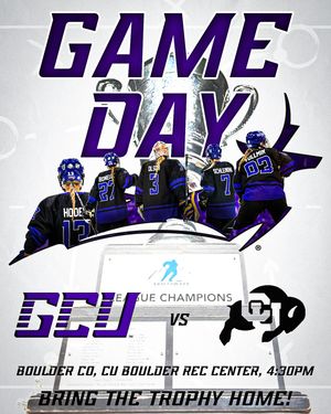 Image post by @lopeswhockey on Instagram