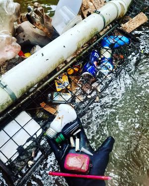Image post by @operitoambiental on Instagram