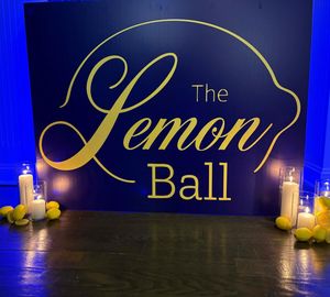 Image post by @alexslemonade on Instagram