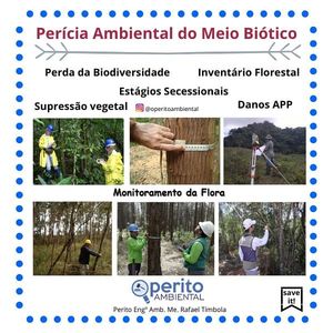 Image post by @operitoambiental on Instagram