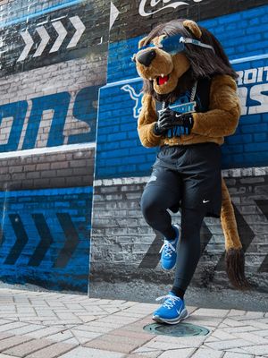 Image post by @roarynfl on Instagram