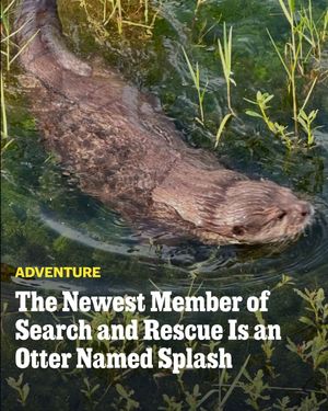 Image post by @outsidemagazine on Instagram