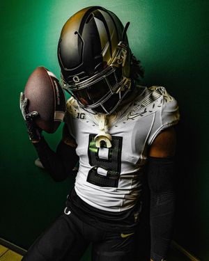 Image post by @goducks on Instagram
