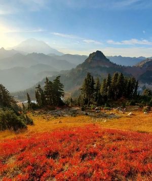 Image post by @nationalparkscollective on Instagram
