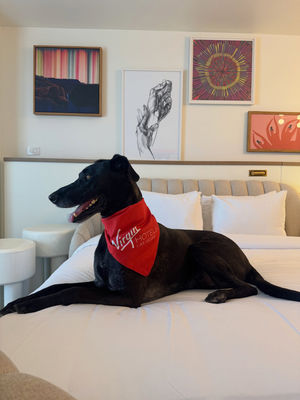 Image post by @virginhotelslv on Instagram