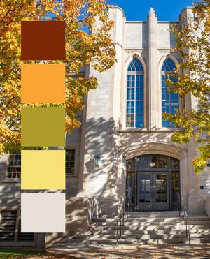 Image post by @uarkansas on Instagram