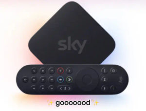Image post by @hellosky on TikTok
