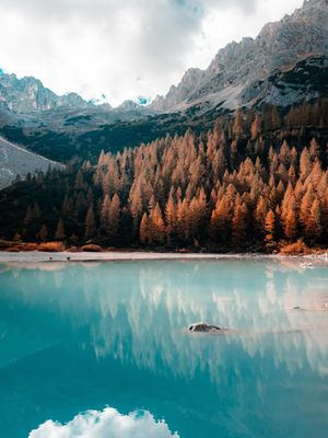 Image post by @fujifilmuk on Instagram