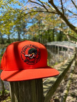 Image post by @GoWoodDucks on Twitter