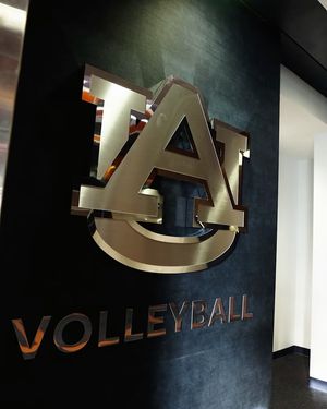 Image post by @auburnvolleyball on Instagram