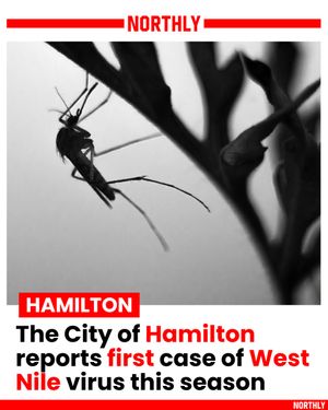 Image post by @northlyhamilton on Instagram