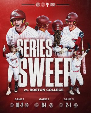 Image post by @GamecockSoftbll on Twitter