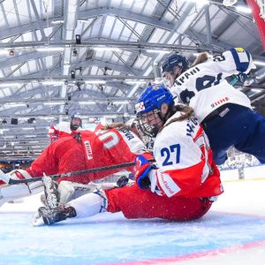 Image post by @leijonatfi on Instagram