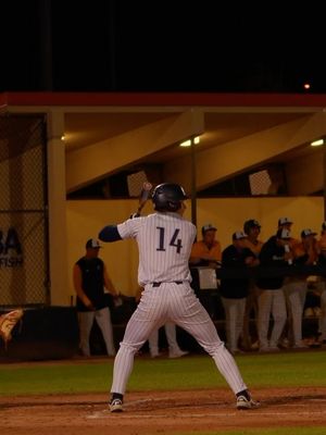 Image post by @pba_baseball on Instagram