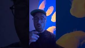 Video post by @google on YouTube
