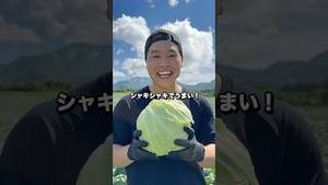 Video post by @bayashitv_ on YouTube